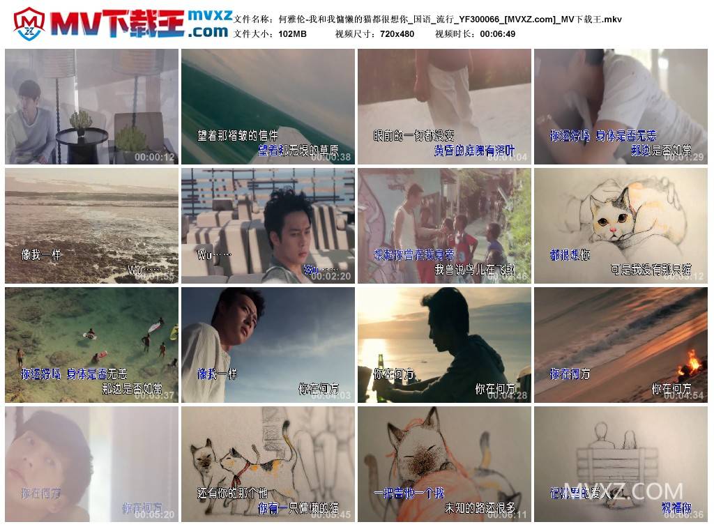 何雅伦-我和我慵懒的猫都很想你_国语_流行_YF300066